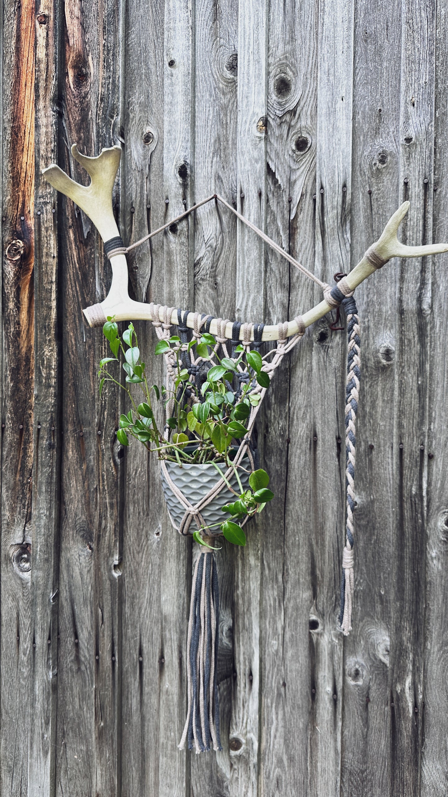 Support Mural pour Plante en Macramé sur Panache Récupéré