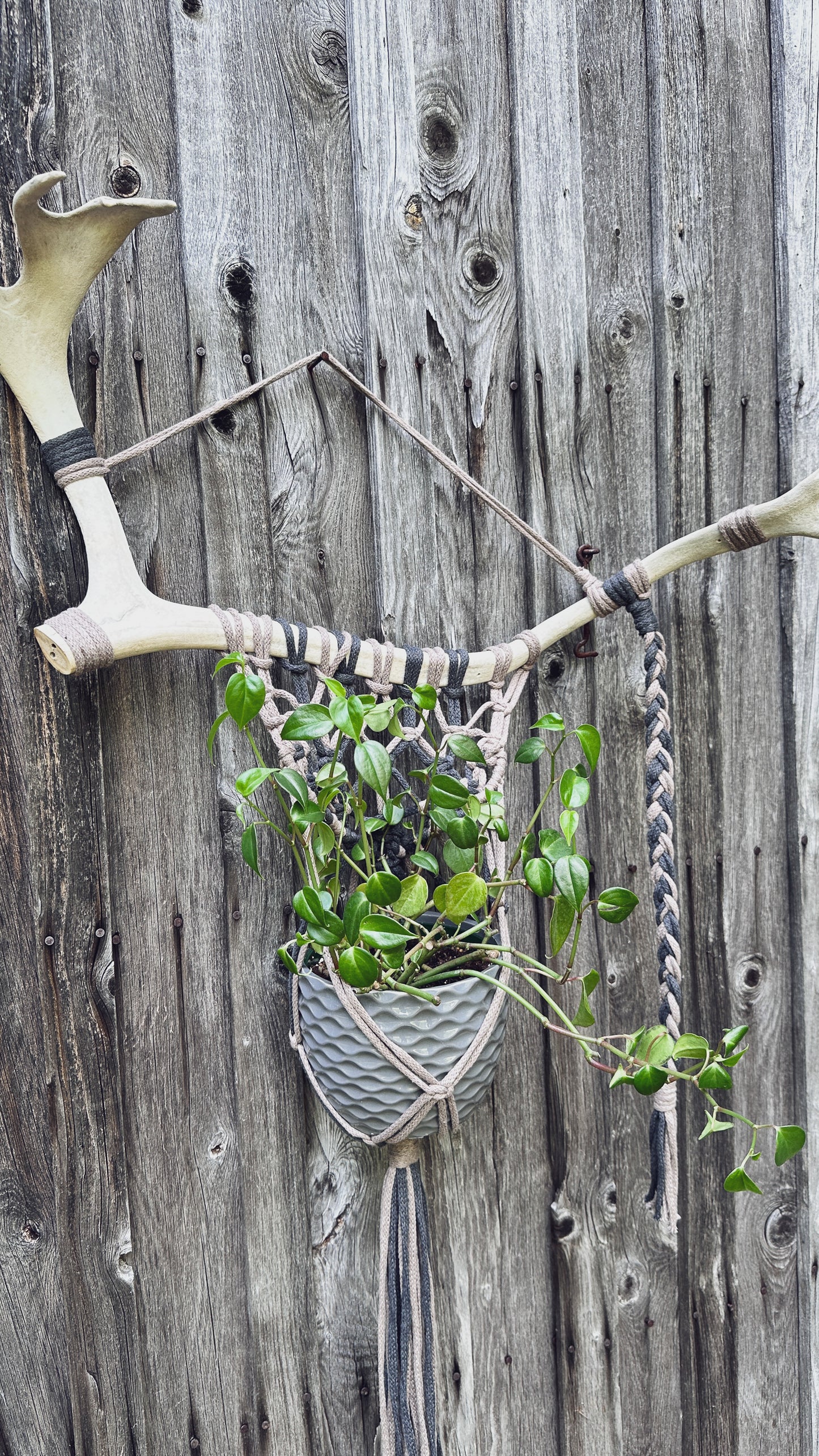 Support Mural pour Plante en Macramé sur Panache Récupéré
