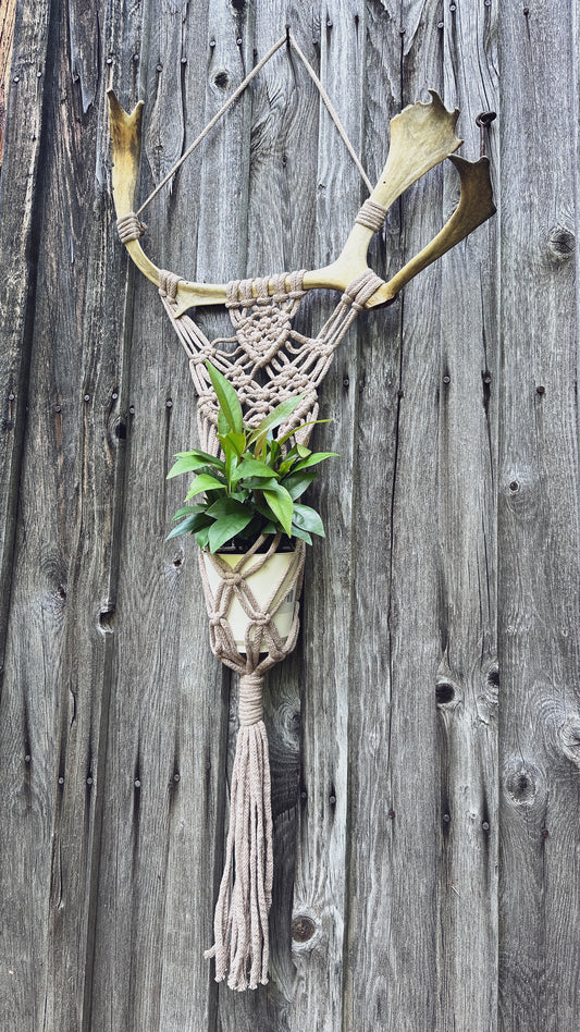 Support Mural pour Plante en Macramé sur Panache Récupéré