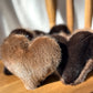 Coussin réconfortant Coeur